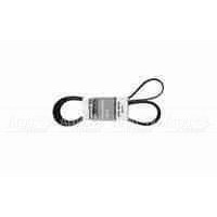 Pubert 0306030032 Ремень привода для Promo во Владикавказе