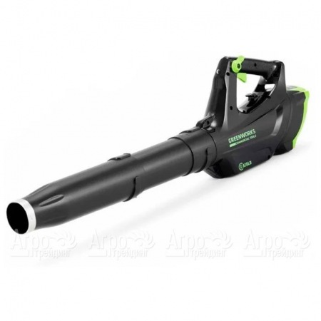 Воздуходувка аккумуляторная GreenWorks GC82BLK5  во Владикавказе