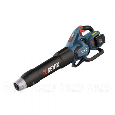 Воздуходувка аккумуляторная Senix BLAX2-M2-EU во Владикавказе
