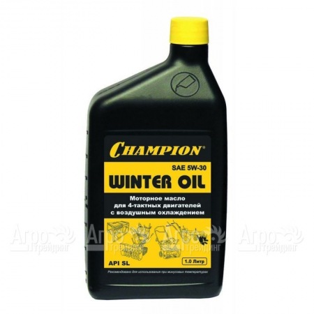Масло минеральное Champion SAE 5W30 1 л для 4-х тактных двигателей  во Владикавказе