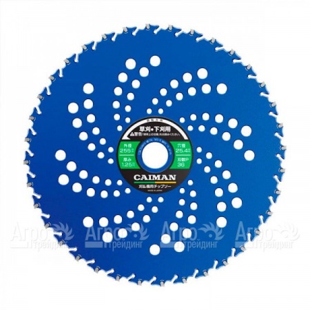 Диск японский 10" 255x25x36P (против камней) для триммеров Caiman во Владикавказе