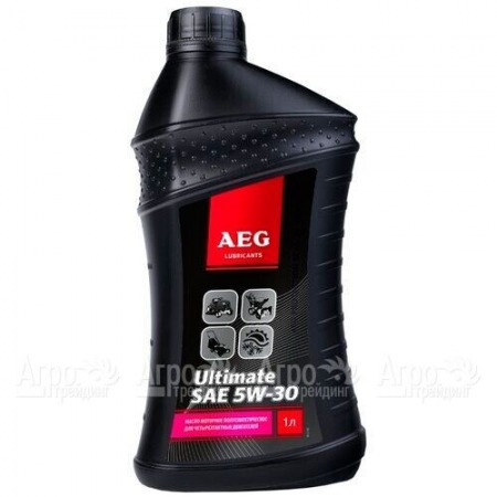 Масло полусинтетическое AEG Ultimate SAE 5W30 1 л для 4-х тактных двигателей  во Владикавказе