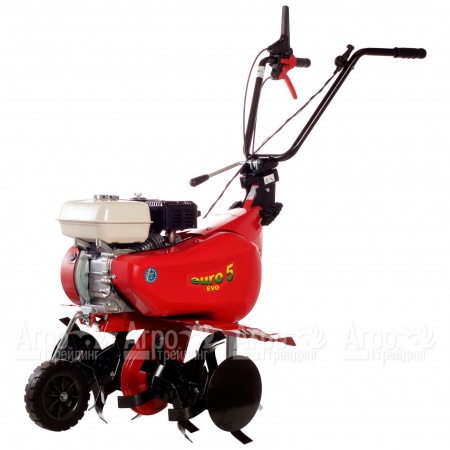 Культиватор Eurosystems Euro-5 EVO RM S/R Honda GX160 во Владикавказе
