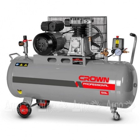 Компрессор воздушный Crown CT36031  во Владикавказе