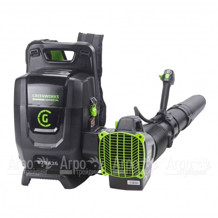 Воздуходувка аккумуляторная GreenWorks 2407207 (без батареи и зарядного устройства)  во Владикавказе