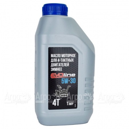 Масло моторное EVOline SAE 5W-30 API SN/CF 1 л для 4-х тактных двигателей во Владикавказе