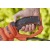 Электрический кусторез (электрокусторез) Black+Decker BEHTS551 во Владикавказе