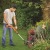 Аккумуляторный триммер Black+Decker ST1823 во Владикавказе