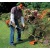 Бензокоса (бензиновый триммер) Stihl FS 55 C во Владикавказе