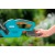 Аккумуляторный кусторез Gardena EasyCut 42 Accu во Владикавказе
