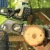 Аккумуляторная пила GreenWorks G-Max GD40CS40 40V-16 (без аккумулятора и зарядного устройства) во Владикавказе