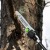 Высоторез аккумуляторный GreenWorks PS102T (без аккумулятора и зарядного устройства) во Владикавказе