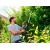 Электроножницы Gardena ComfortCut 550/50 во Владикавказе