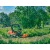 Садовый райдер Husqvarna P525DX с кабиной во Владикавказе
