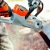 Аккумуляторная пила Stihl MSA 140 C-BQ SET-12 во Владикавказе