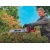 Аккумуляторный кусторез Einhell PXC GE-CH 36/62 Li-Solo (без аккумулятора и зарядного устройства) во Владикавказе