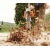Воздуходувка бензиновая Stihl BG 56 во Владикавказе