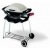 Газовый гриль Weber® Q™ во Владикавказе