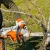 Аккумуляторная пила Stihl MSA 220 C-B-14" (без аккумулятора и зарядного устройства) во Владикавказе