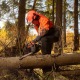 Бензопила Daewoo DACS 4516-16 во Владикавказе