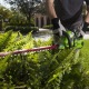 Электрический кусторез (электрокусторез) GreenWorks GHT5054 500 Вт во Владикавказе