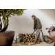 Хозяйственный пылесос Karcher WD 3 S V-19/4/20 SuctionBrushKit во Владикавказе