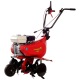 Культиватор Eurosystems Euro-5 EVO RM S/R Honda GX160 во Владикавказе