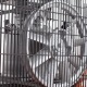 Компрессор поршневой Patriot Remeza СБ 4/С-100 LH 20 A во Владикавказе