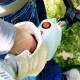 Бензокоса (бензиновый триммер) Stihl FS 45 C-E во Владикавказе