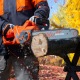 Пила цепная (электропила) Daewoo DACS 2500E-16 во Владикавказе