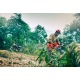 Бензопила Husqvarna 455e Rancher-20X&quot; во Владикавказе