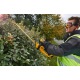 Аккумуляторный кусторез Dewalt DCM563PB (без аккумулятора и зарядного устройства) во Владикавказе