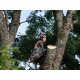 Бензопила Husqvarna 545 Mark II-15&quot; во Владикавказе